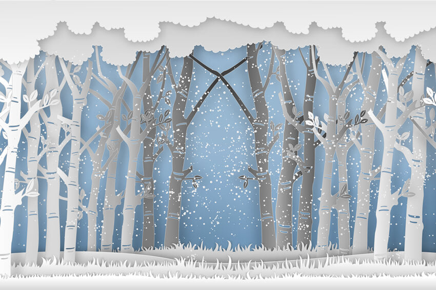 Forêt Enneigée d'Hiver Grands Arbres Prairie Toile de Fond M7-25