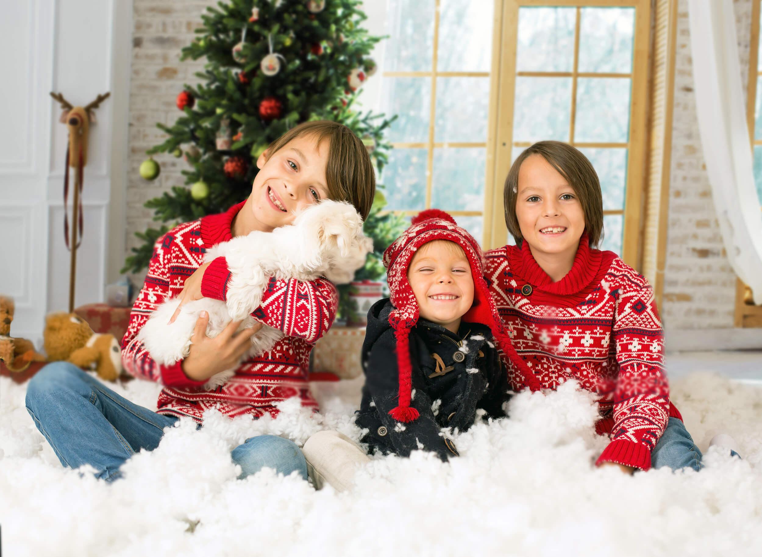 Arbre de Noël Fenêtre Guirlande Photographie Toile de Fond M7-36