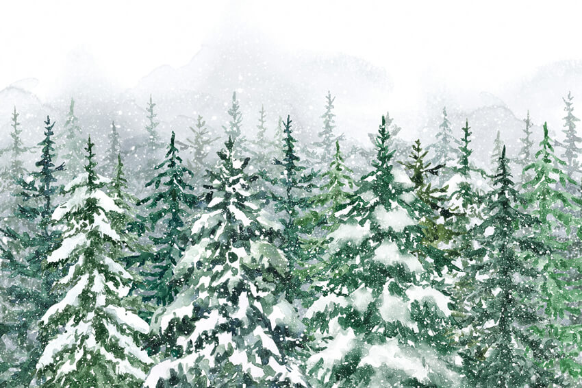 Toile de Fond de Paysage de Neige de Forêt de Pins d'Hiver M7-43