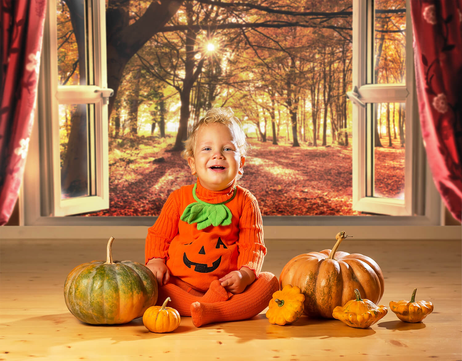 Automne Forêt Lever du Soleil Fenêtre Paysage Toile de Fond M7-81