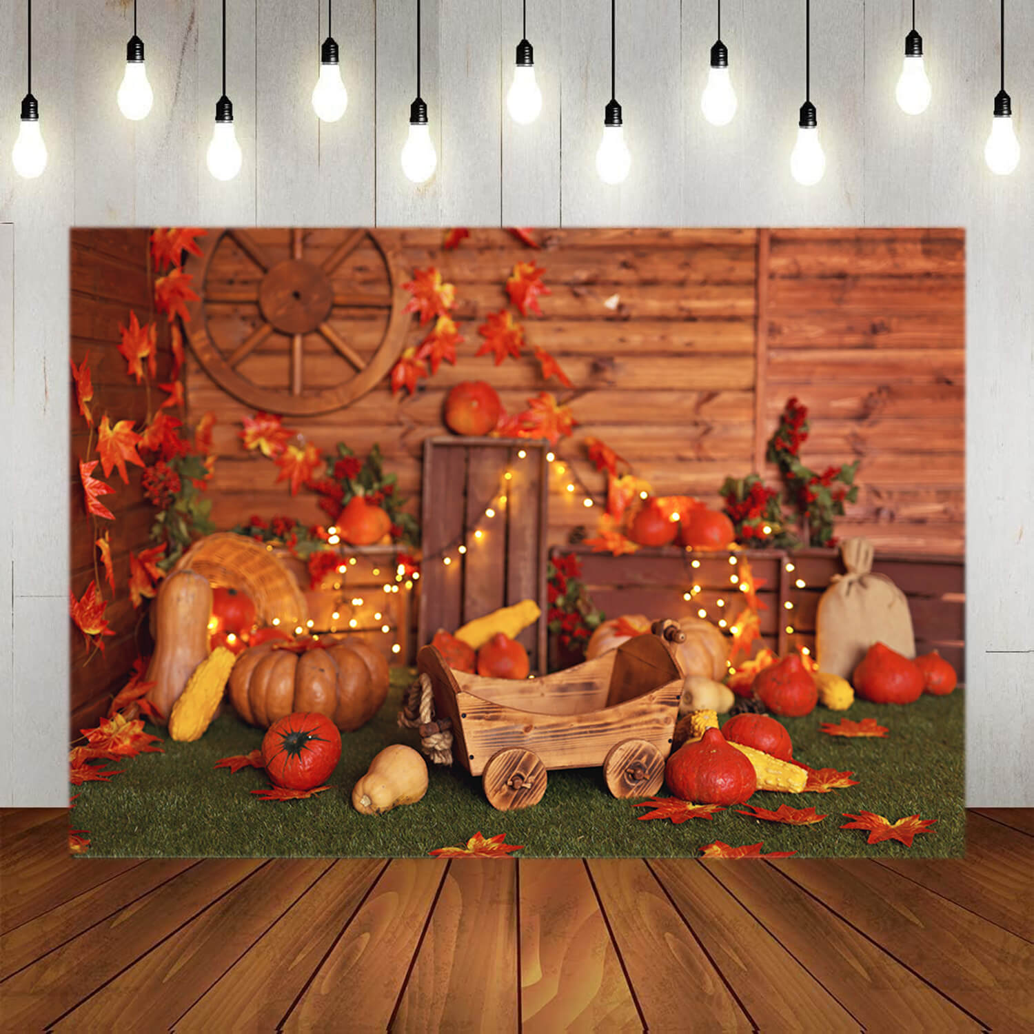 Thanksgiving Citrouilles Automne Photographie Toile de Fond M7-82