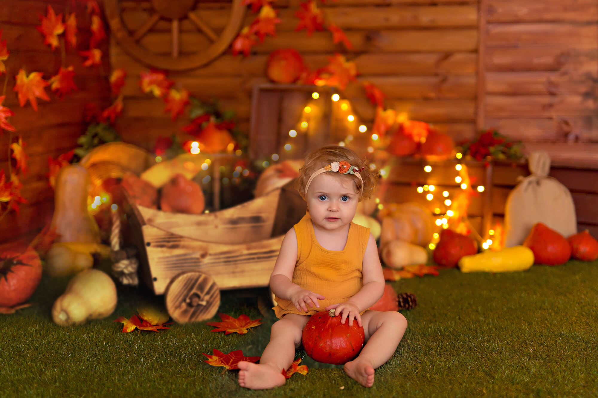 Thanksgiving Citrouilles Automne Photographie Toile de Fond M7-82