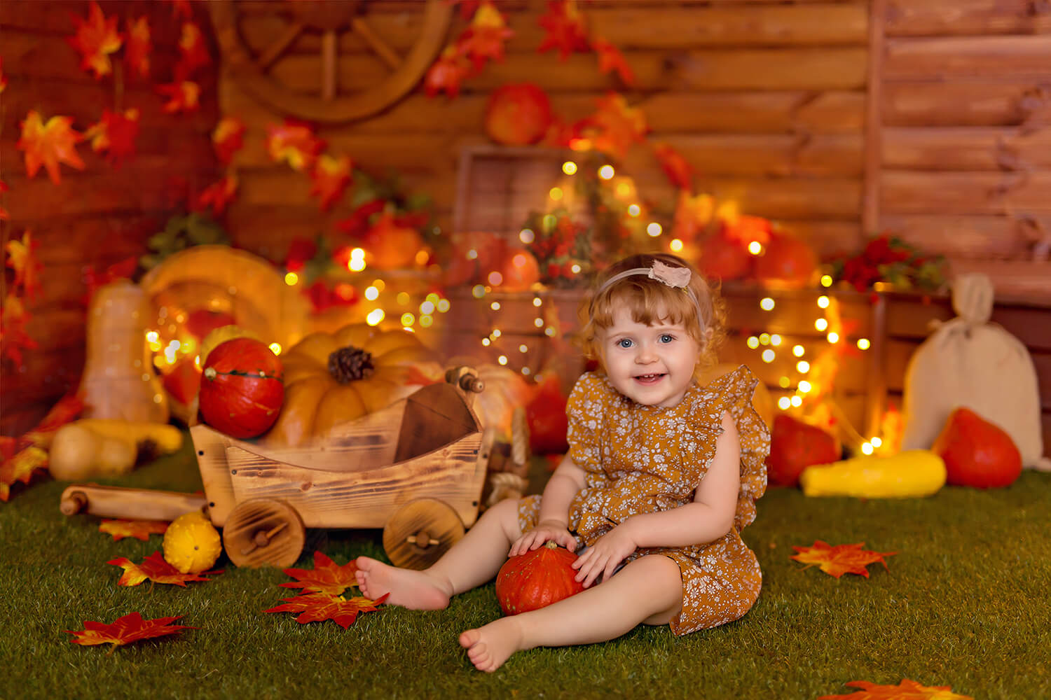 Thanksgiving Citrouilles Automne Photographie Toile de Fond M7-82