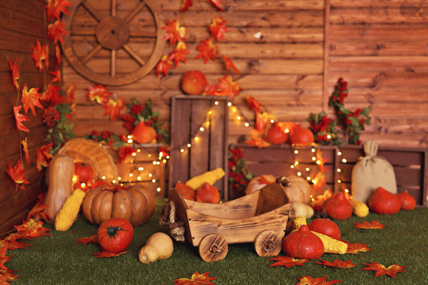 Thanksgiving Citrouilles Automne Photographie Toile de Fond M7-82