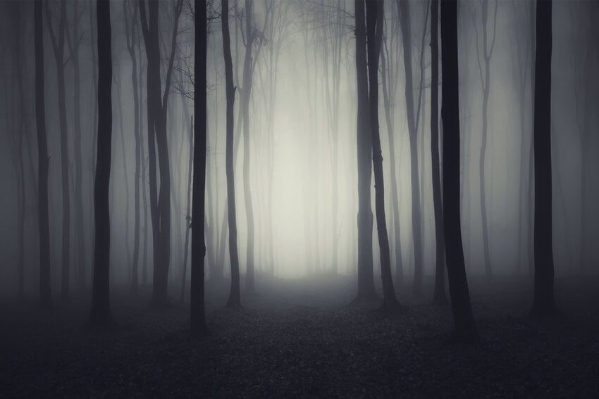 Toile de Fond de Forêt Sombre Lugubre pour Halloween M8-10