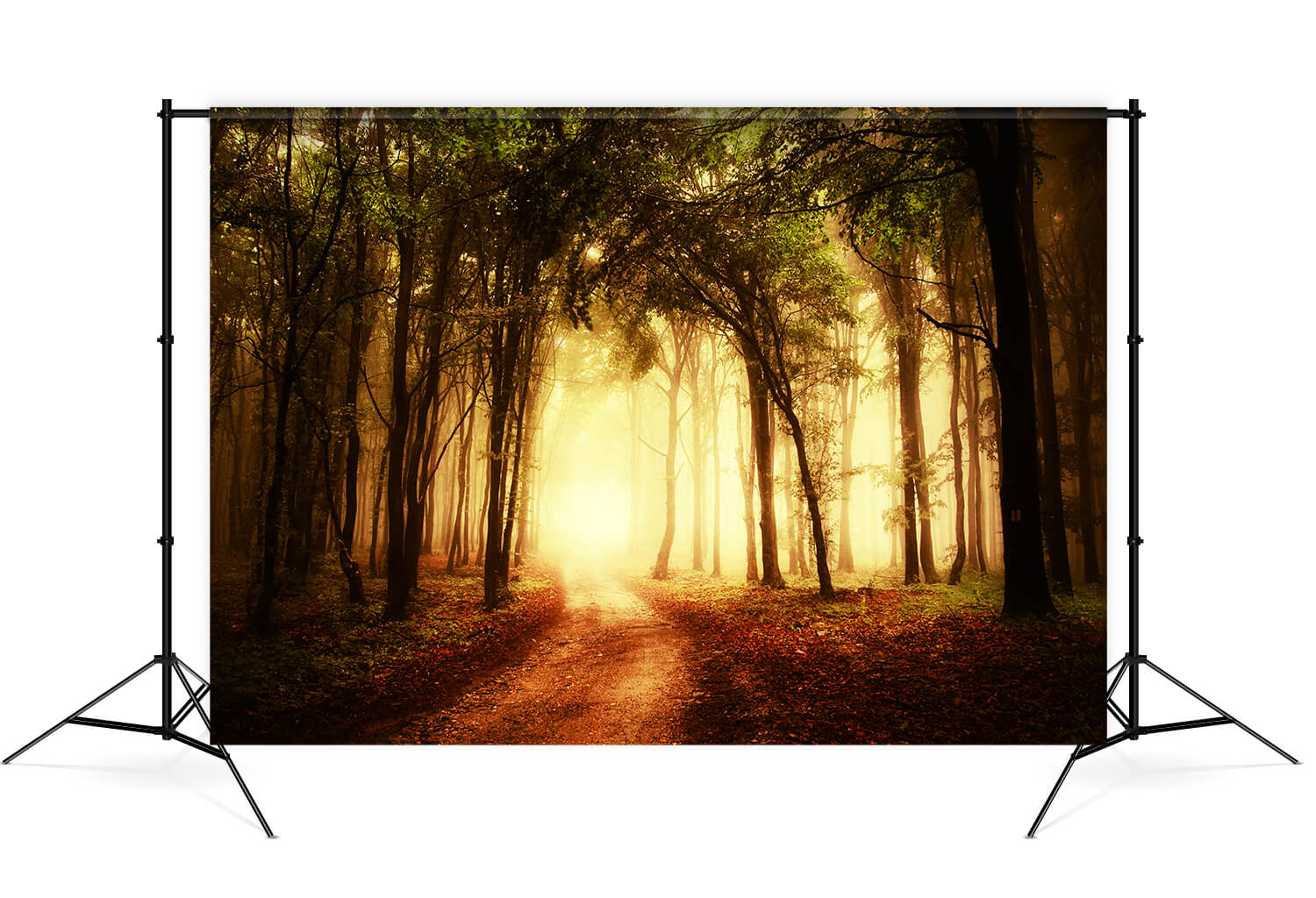 Toile de Fond Forêt Chemin Brumeux en Automne M8-12