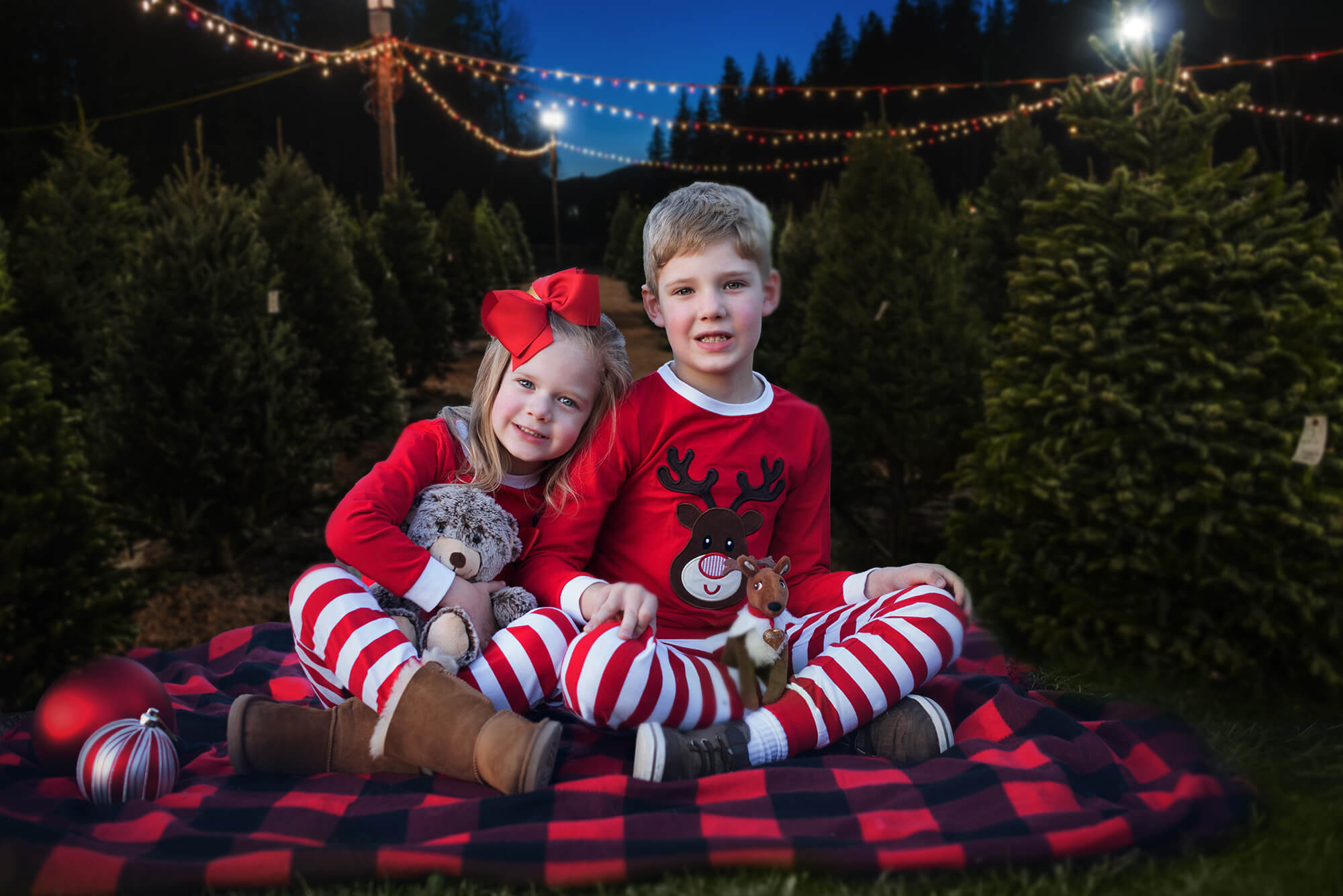 Toile de Fond pour Photo de Sapins de Noël M8-21