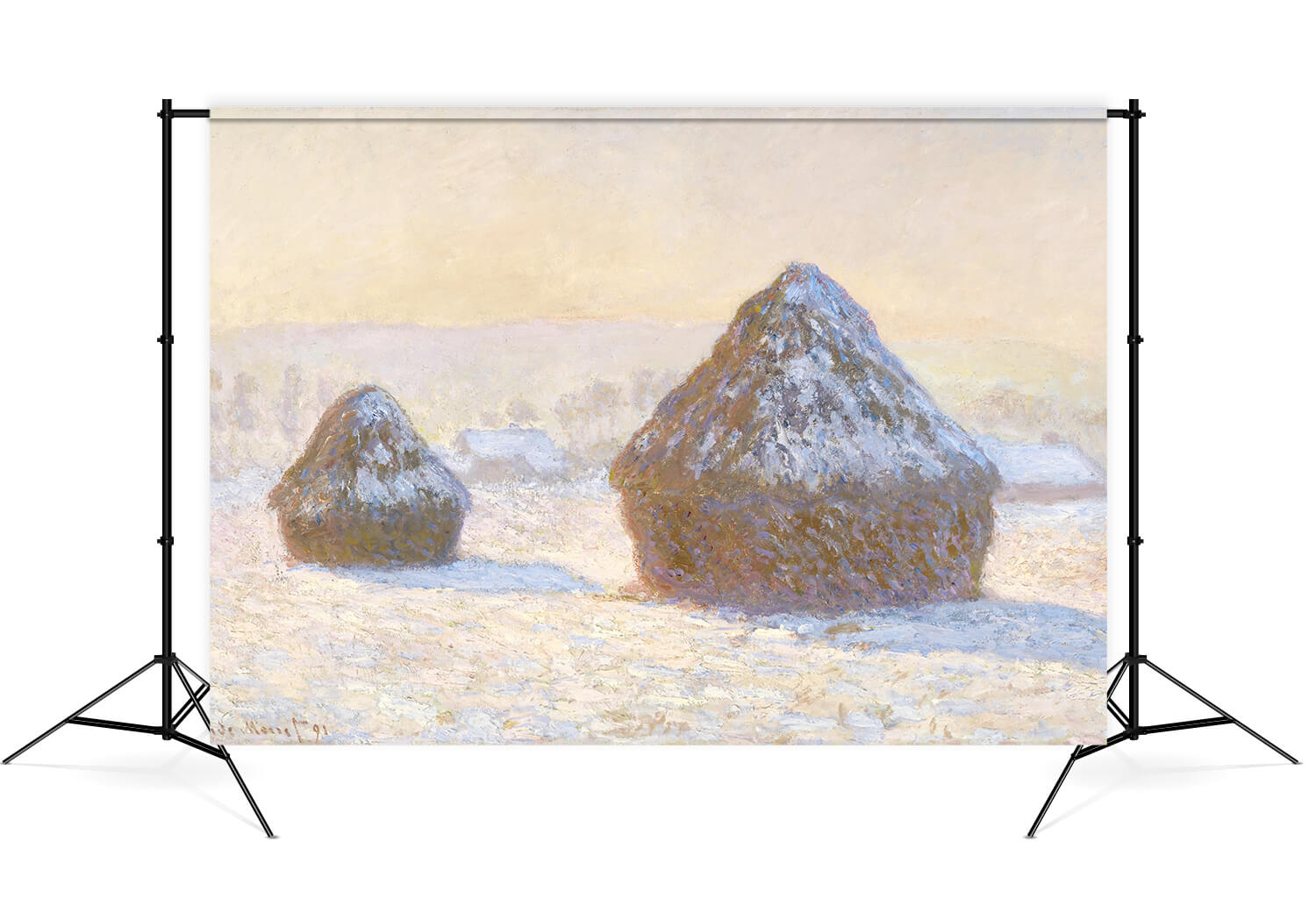 Toile de Fond pour Photo de Blé d'Hiver M8-22