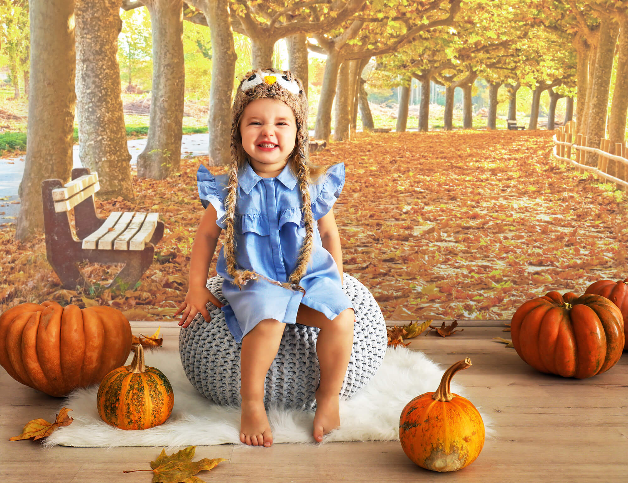 Toile de Fond Feuilles d'Erable d'Automne Chemin pour photo M8-29