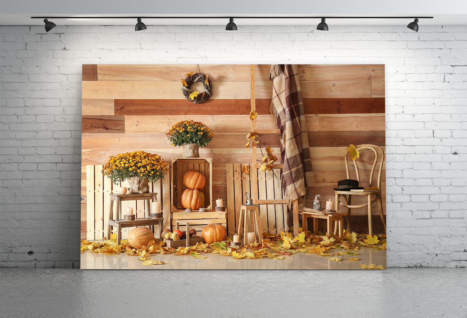 Toile de Fond Moisson d'Automne Citrouilles pour Photo M8-32
