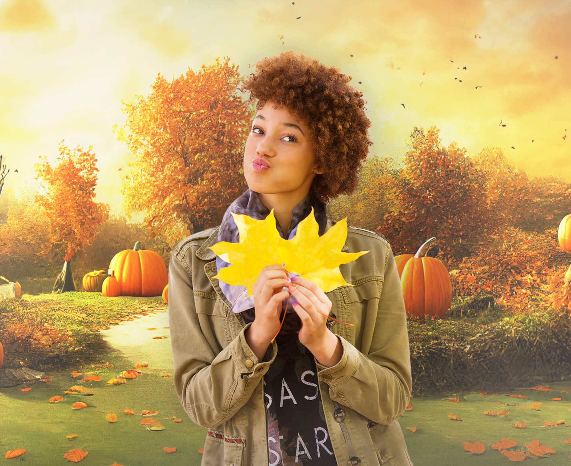 Toile de Fond Automne Citrouilles pour Photo M8-46