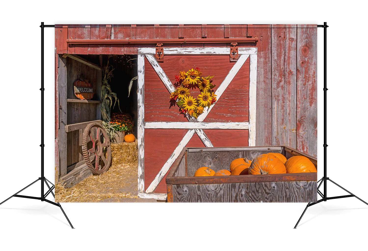 Toile de Fond Rouge pour la Récolte de Citrouilles à l'Occasion de Thanksgiving M8-51