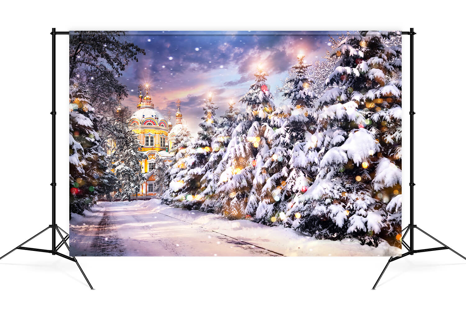 Toile de fond Château d'hiver Route enneigée Arbre Photographie M9-12