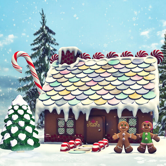Toile de fond Maison en pain d'épice de Noël pour photographie M9-23