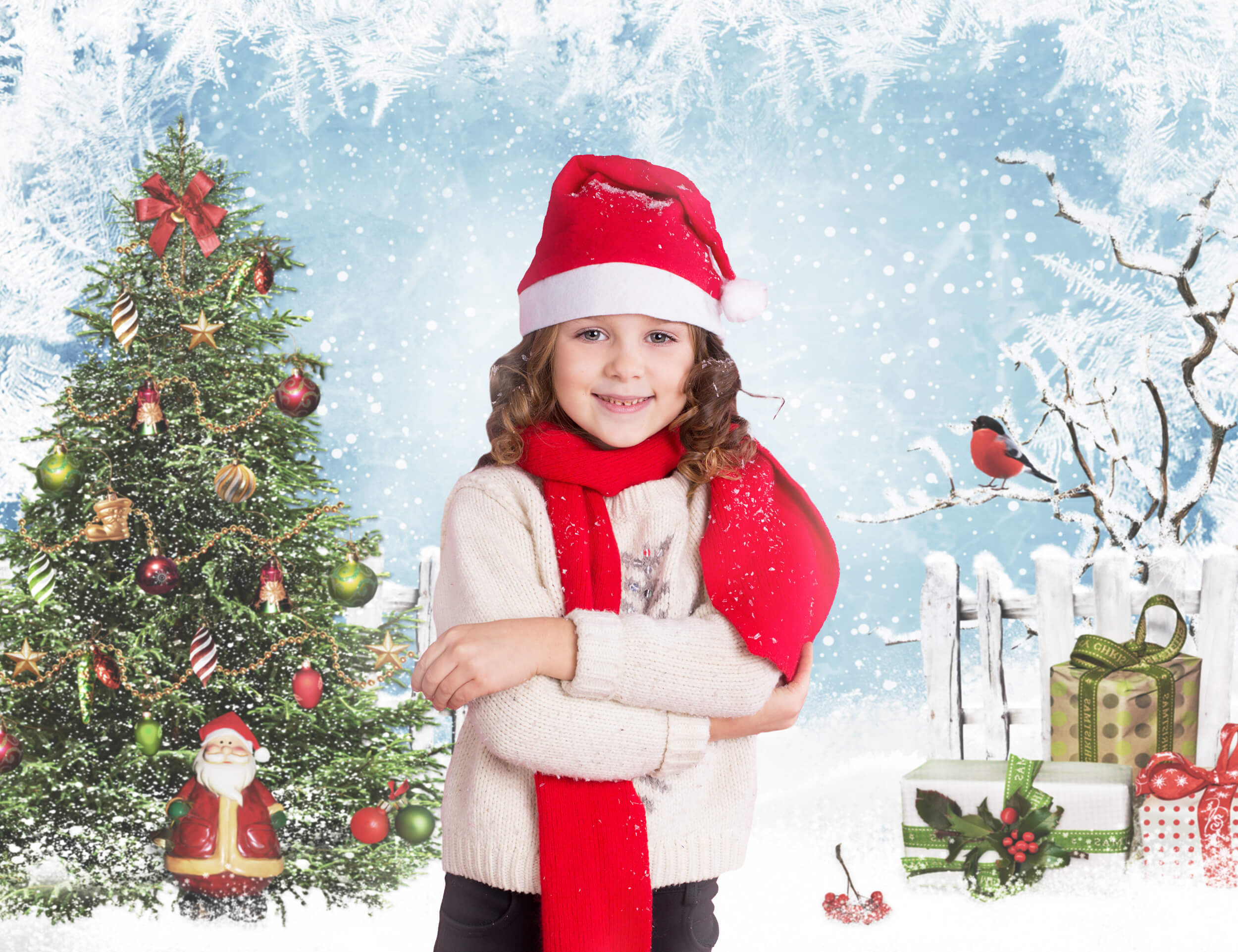 Toile de fond Sapin de Noël Hiver Neige Paysage M9-25