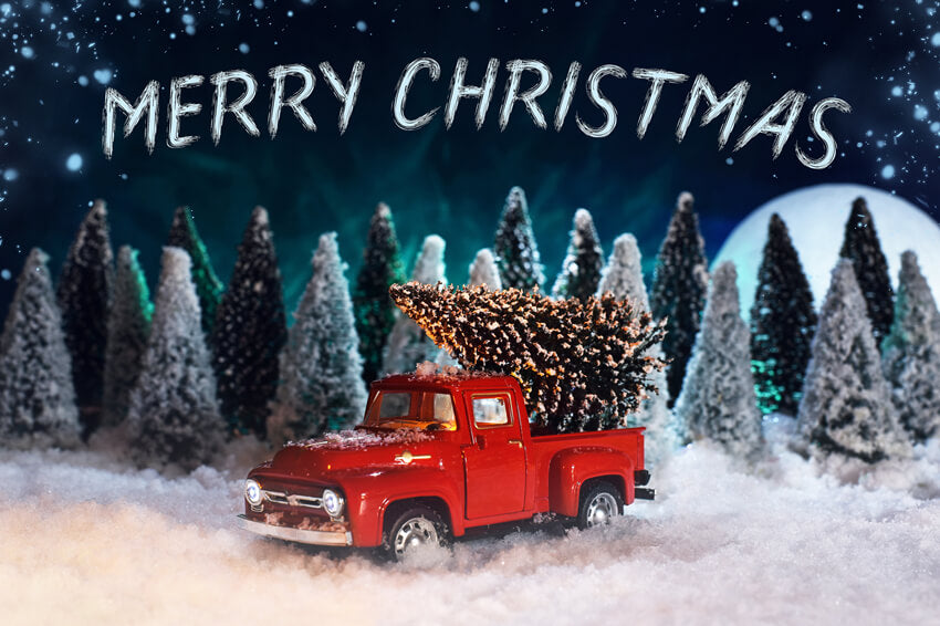 Toile de fond Forêt enneigée Noël Camion rouge M9-26