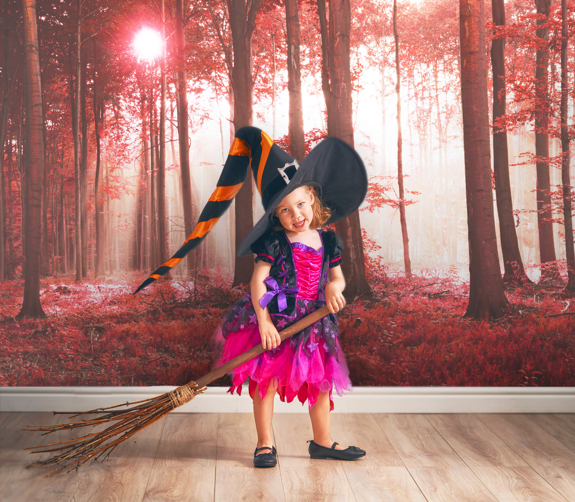 Toile de fond pour paysage d'automne avec forêt d'érables ensoleillée M9-33