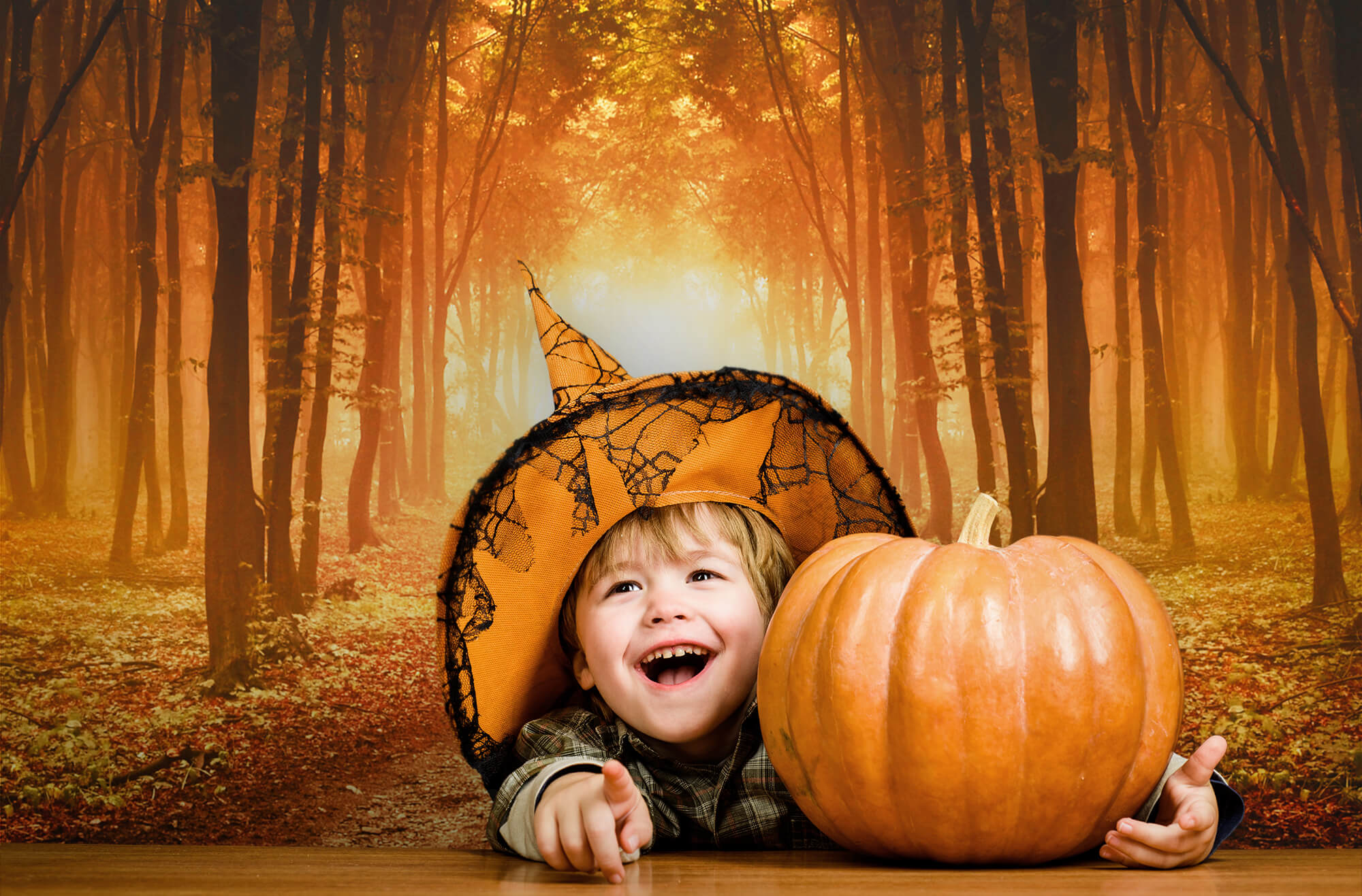 Toile de Fond Feuilles Tombées Forêt Automne M9-58