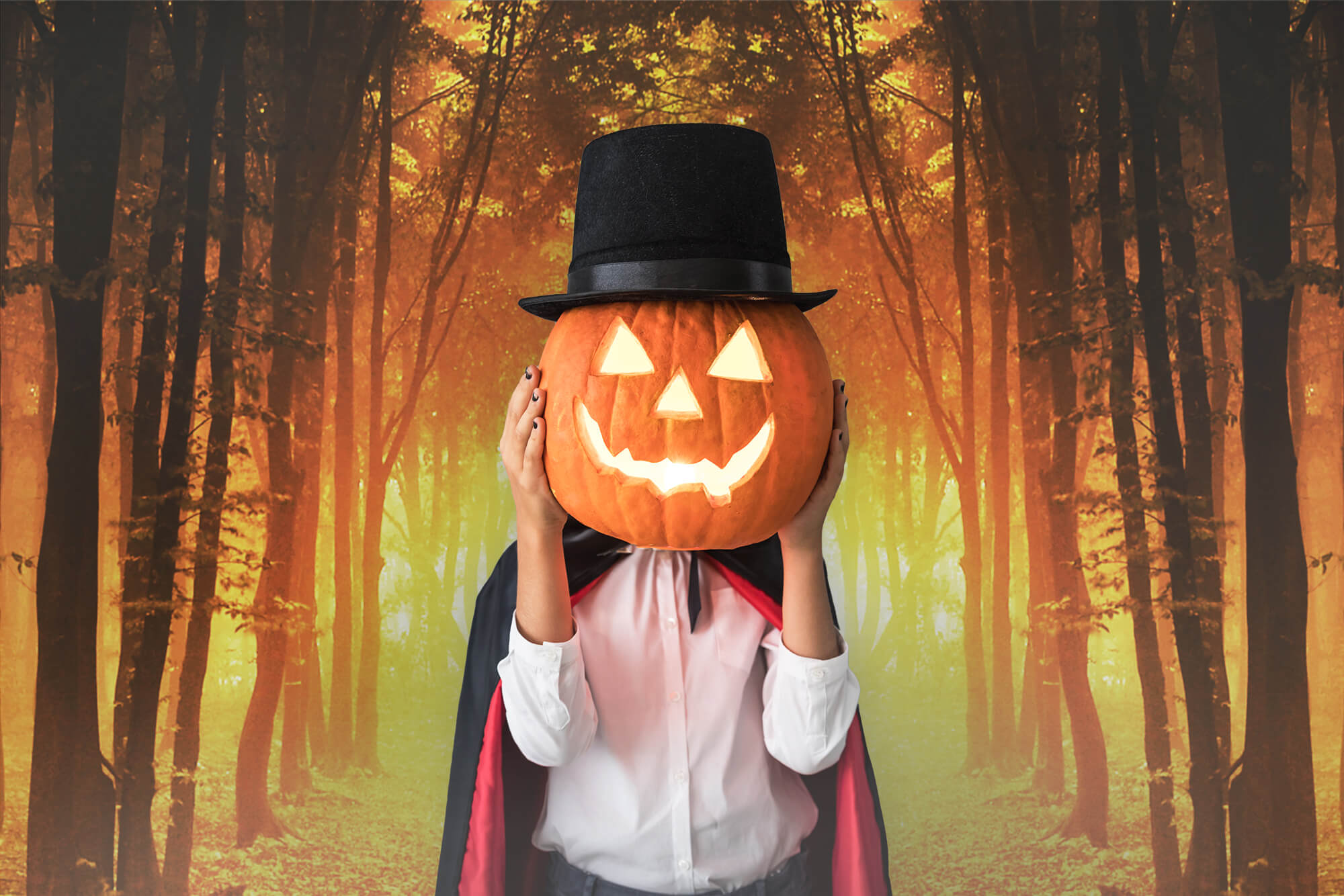 Toile de Fond Feuilles Tombées Forêt Automne M9-58