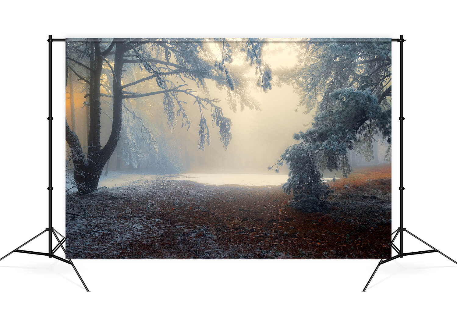 Toile de Fond Forêt Enneigée Hiver Nature Paysage M9-59