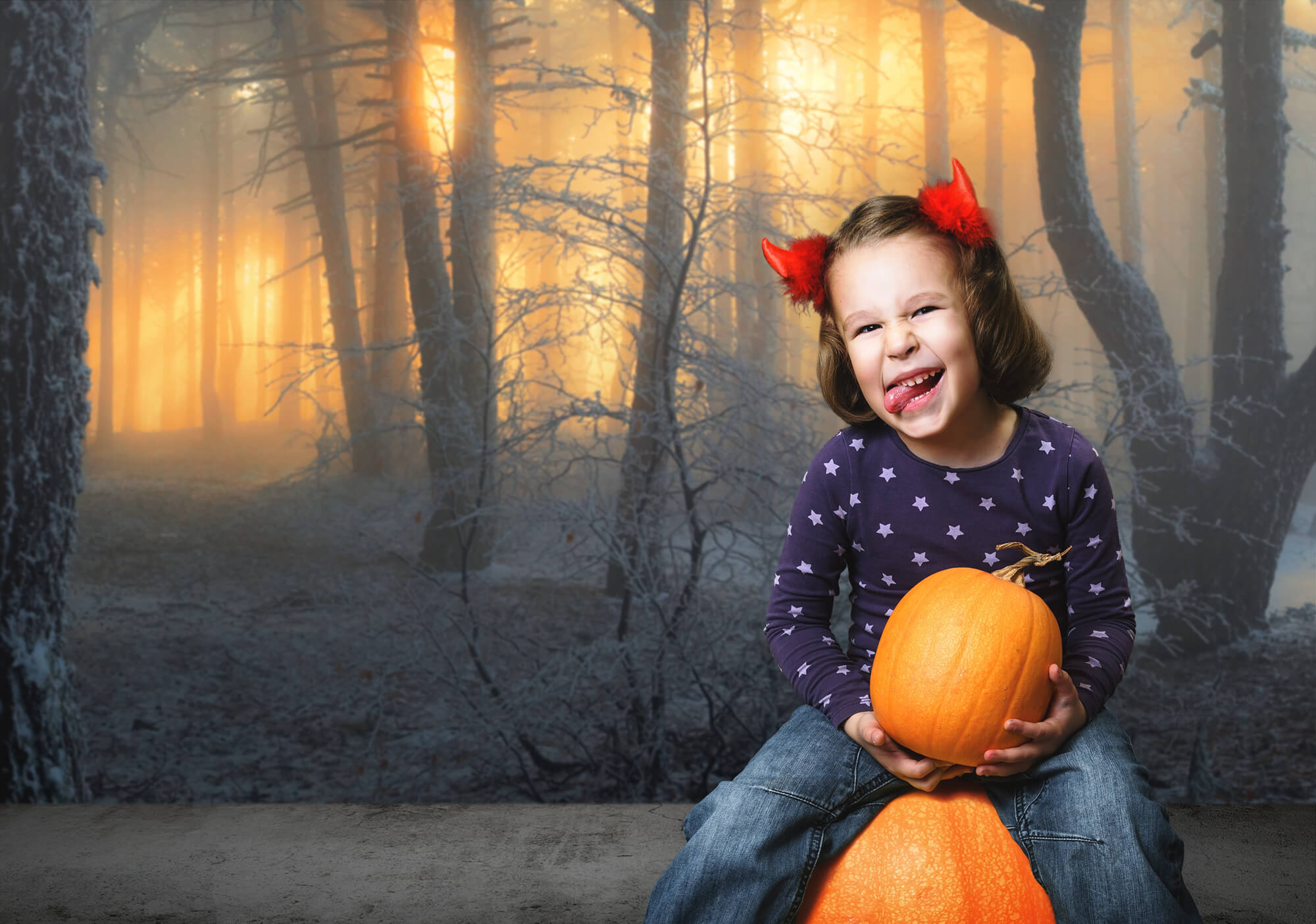 Toile de Fond Hiver Forêt Enneigée Aube Soleil Ombre M9-60