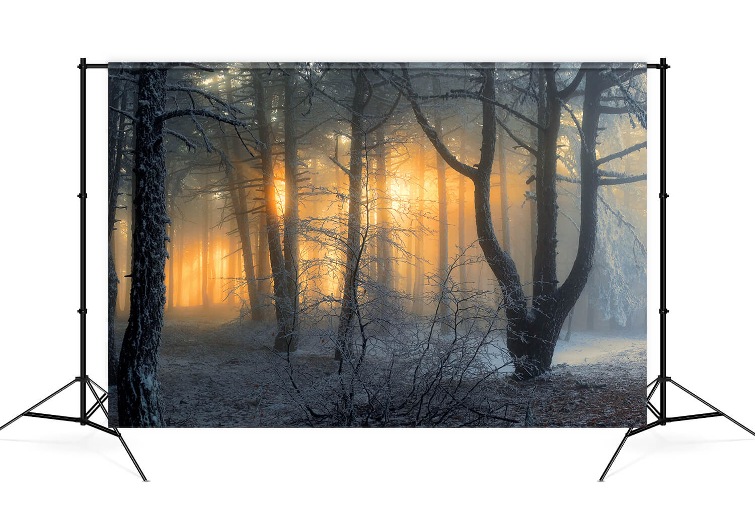 Toile de Fond Hiver Forêt Enneigée Aube Soleil Ombre M9-60