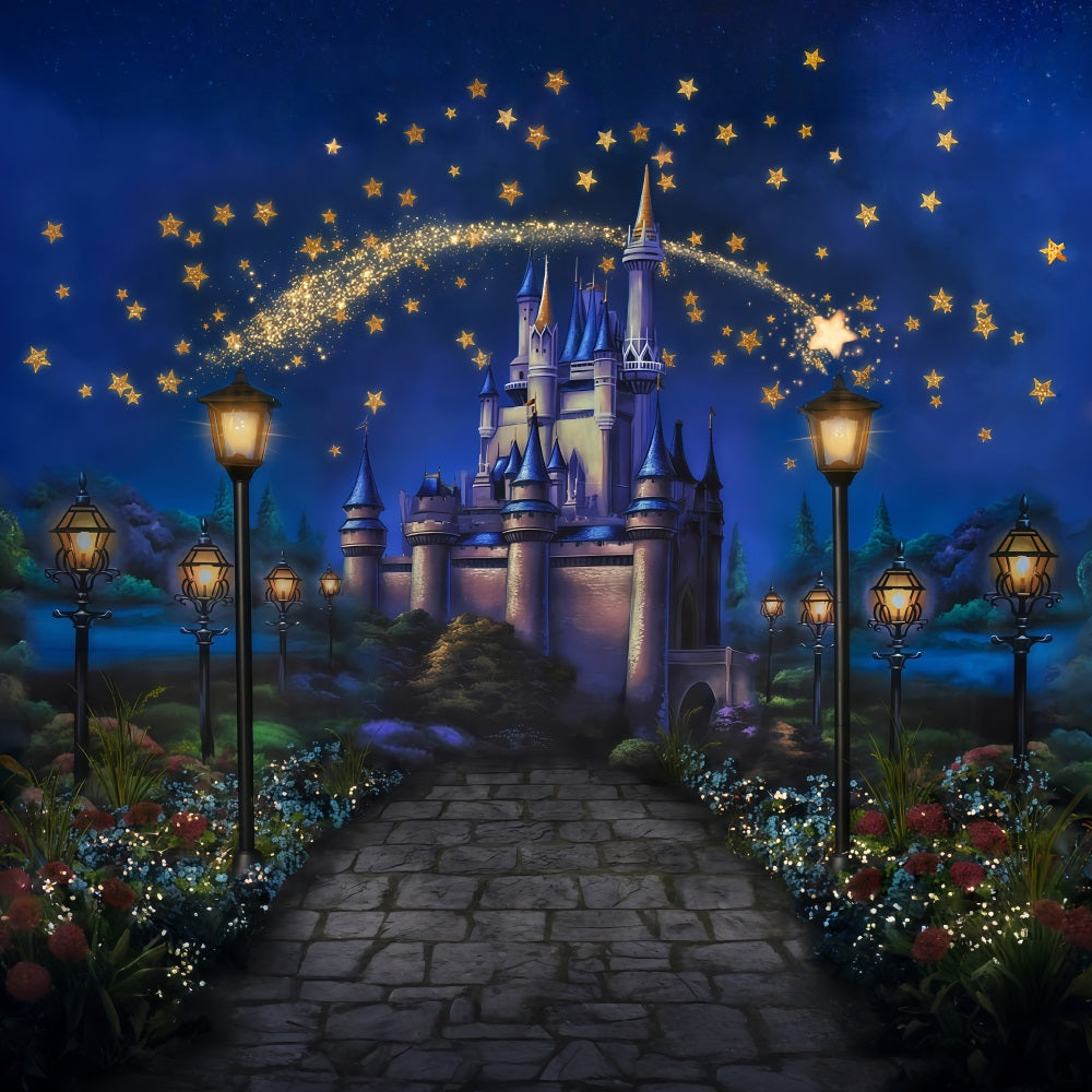 Fond château Château magique Étoiles Fond photo nouveau-né MRR10-27