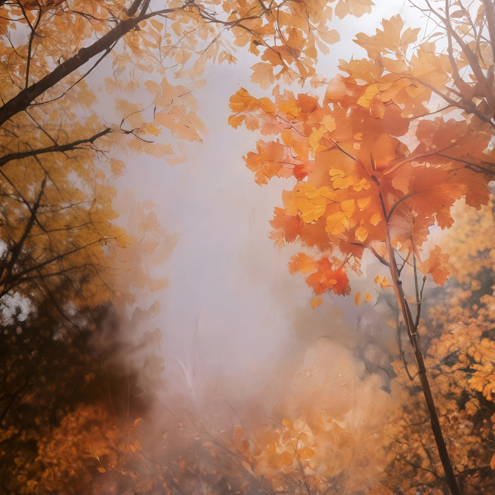 Fond automnal Feuilles d'automne dorées Fond photo automnal MRR10-55