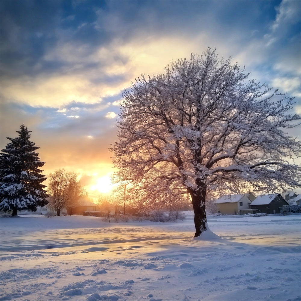 Toile de fond Forêt Coucher Soleil Sérénité Hiver MRR7-107