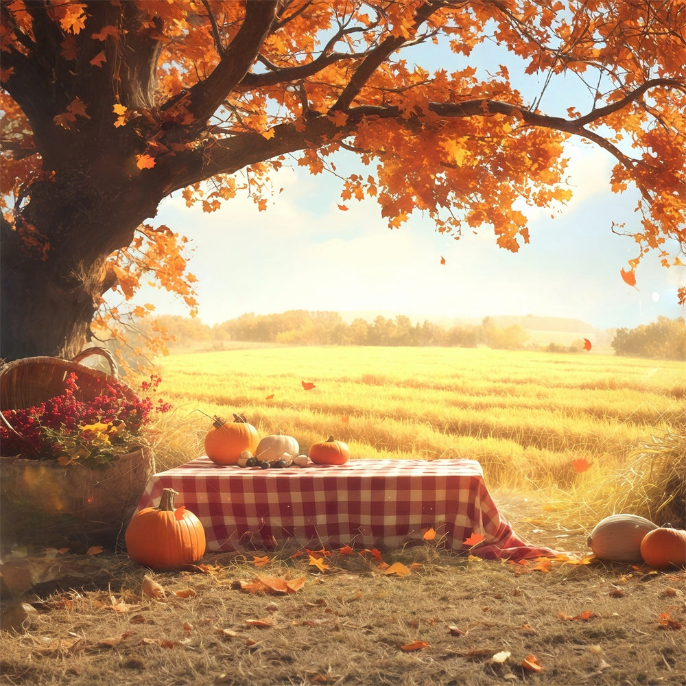 Toile de fond Automne Pique Nique Citrouilles Champs Dorés MRR7-129