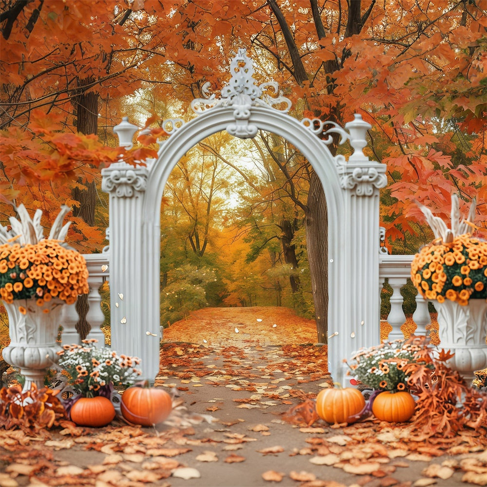 Toile de fond Déco Automne Arche Feuilles Sentier Forêt MRR7-140