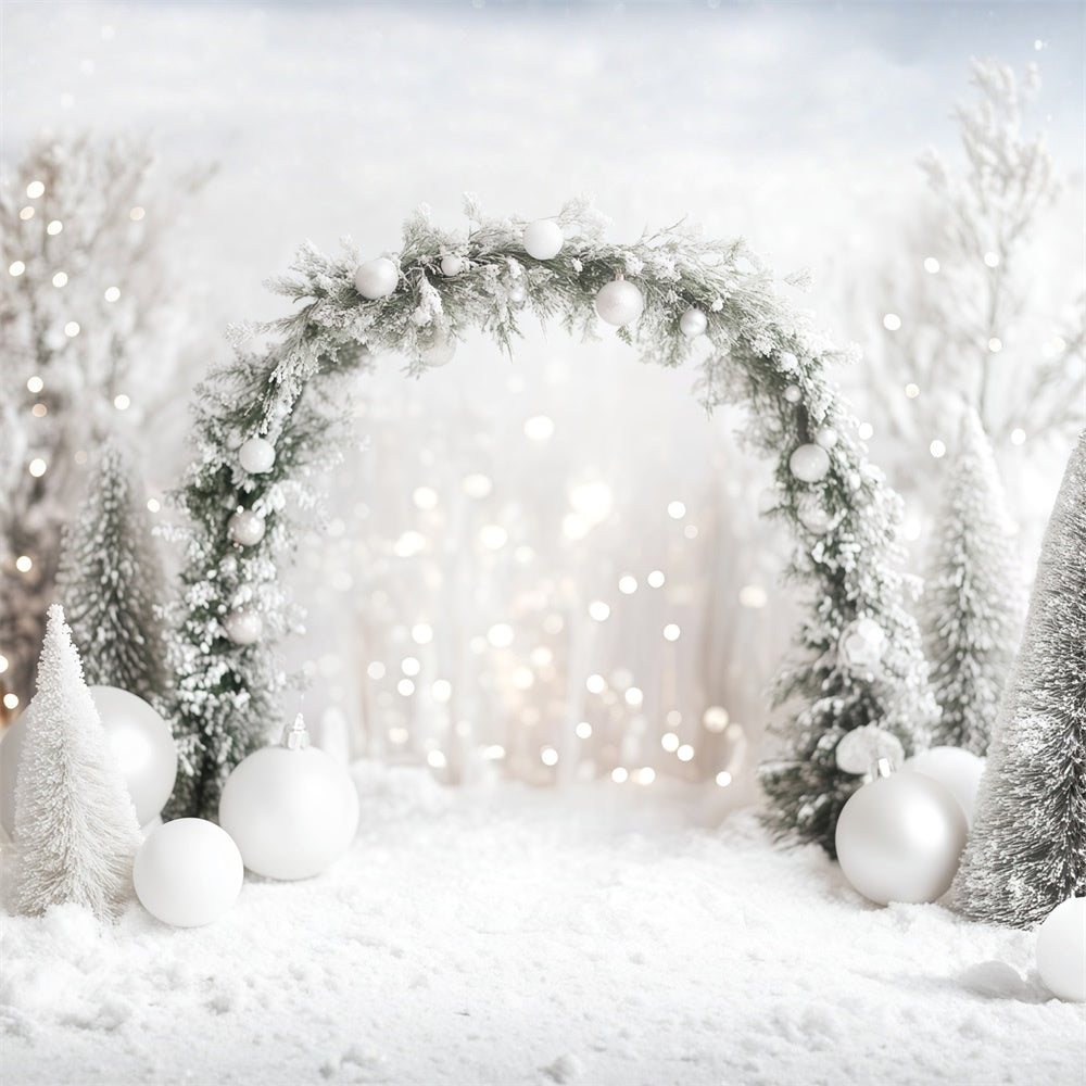 Toile de fond Neige Hiver Arche Éclatante MRR7-146
