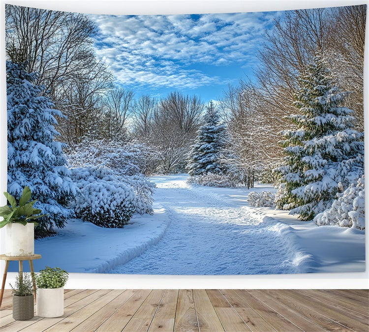 Toile de fond Hiver Ciel Dégagé Sentier Neigeux MRR7-151