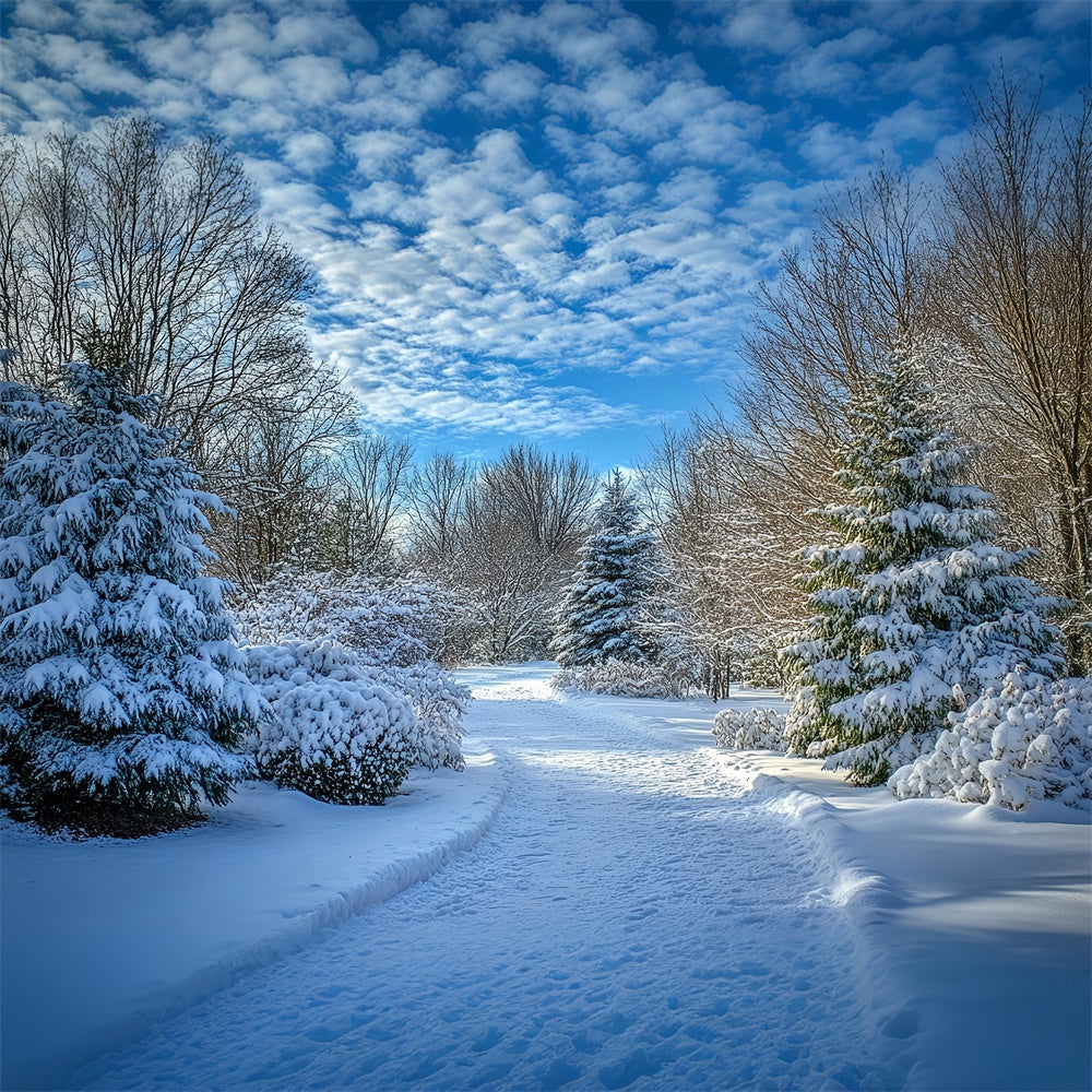 Toile de fond Hiver Ciel Dégagé Sentier Neigeux MRR7-151