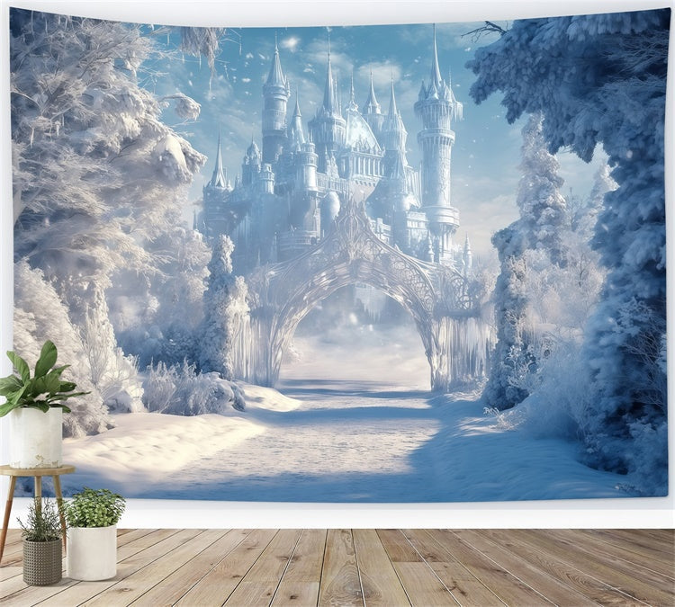 Toile de fond Château Hiver Sentier Royaume Enneigé MRR7-156