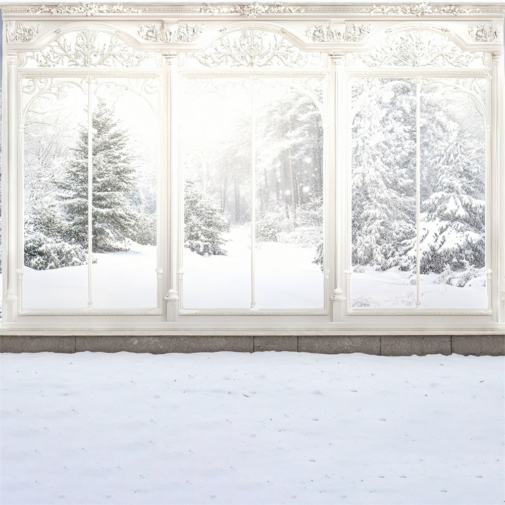 Toile de fond Hiver Vue Fenêtre Ornée MRR7-159