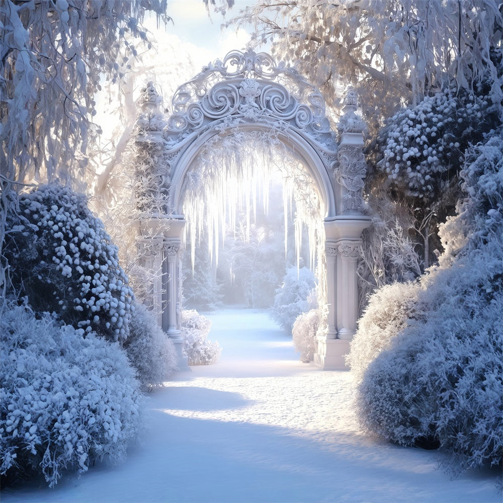 Toile de fond Neige Hiver Arche de Jardin Gelé MRR7-175