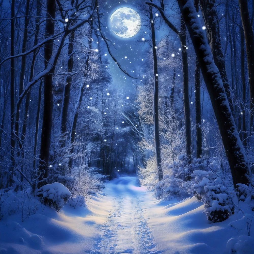 Toile de fond Forêt Hiver Sentier Lune Lumineuse MRR7-180
