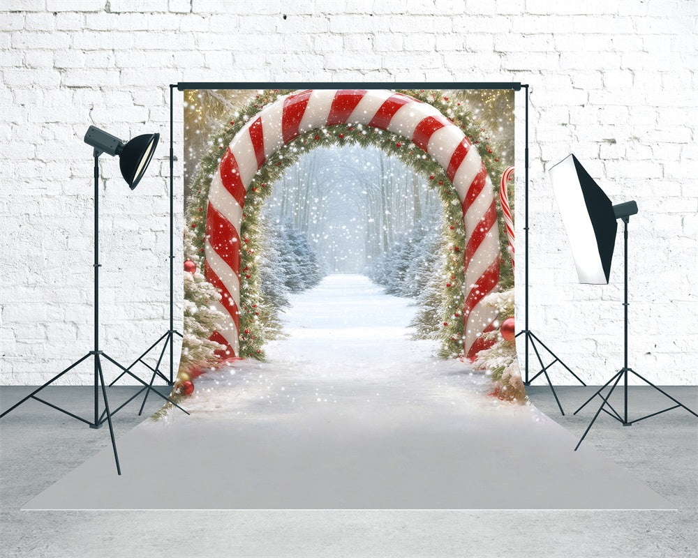 Toile de fond Noël Arche Sucrée Forêt Enneigée MRR8-108