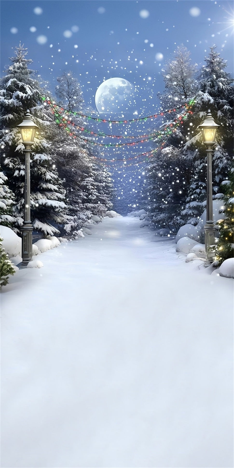 Toile de fond Noël Sentier de Cèdres Lumières Colorées Nuit Neigeuse MRR8-116