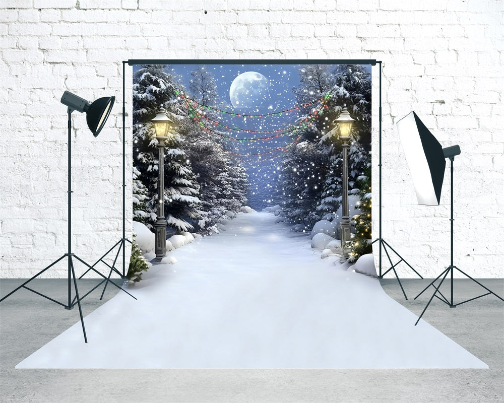 Toile de fond Noël Sentier de Cèdres Lumières Colorées Nuit Neigeuse MRR8-116