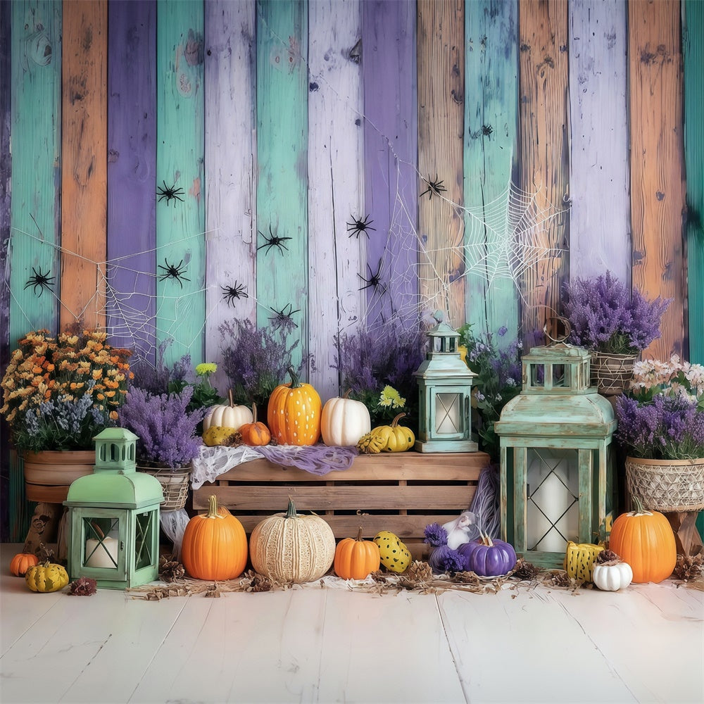 Fond de photo halloween Mur Coloré Citrouille et Araignée MRR8-5