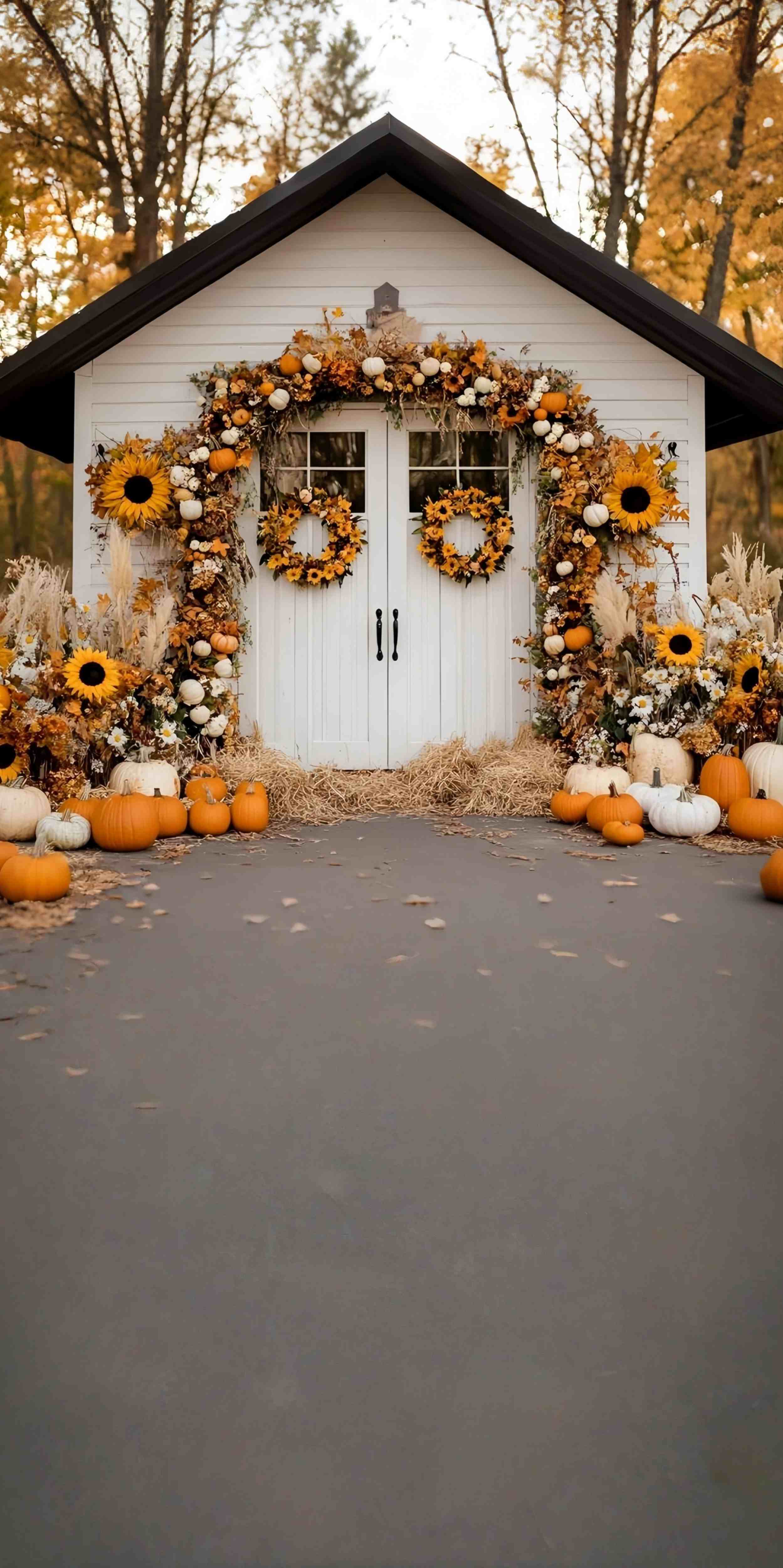 Toile de fond Sweep Automne Photo Porche Cottage Tournesols Citrouilles MRR8-79