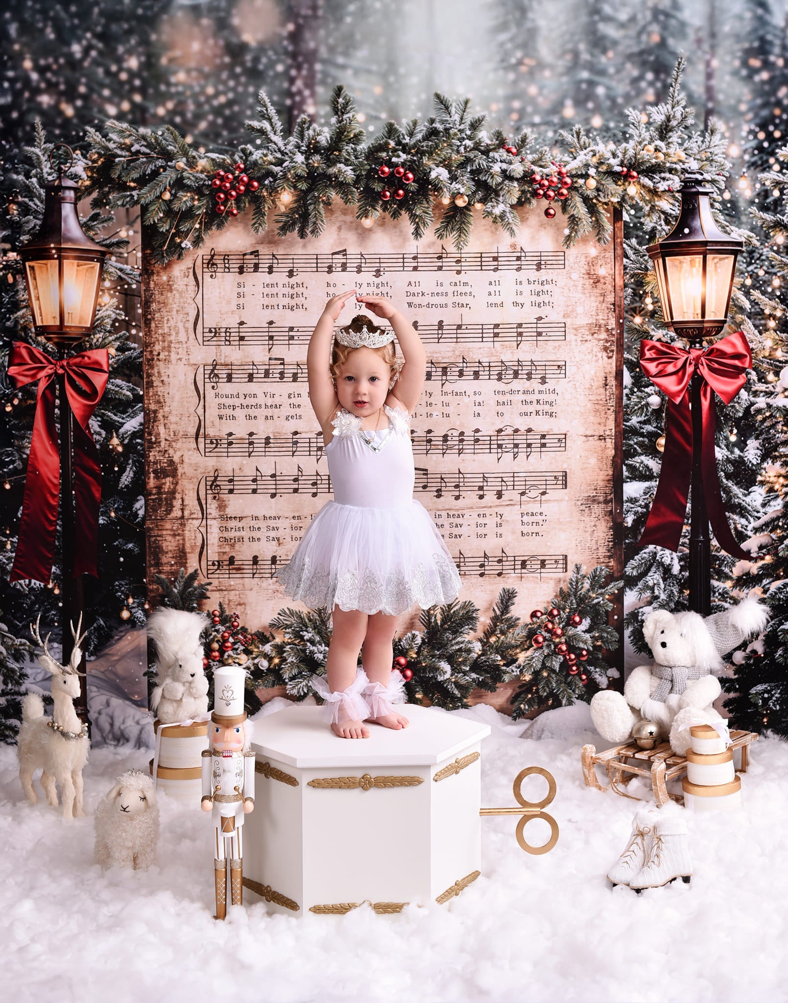 Toile de fond Noël Chant de Noël Neige Joy To The World MRR9-24