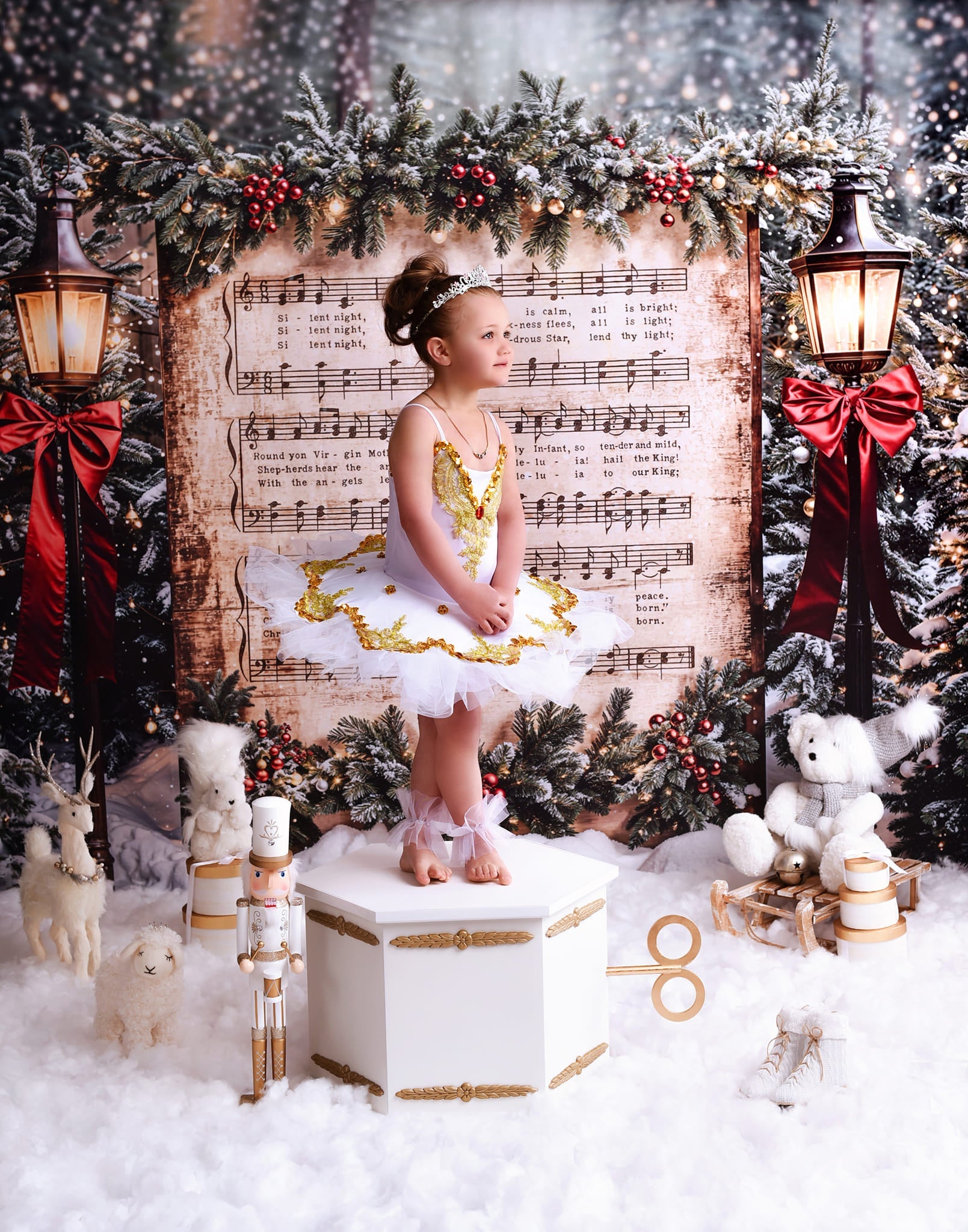 Toile de fond Noël Chant de Noël Neige Joy To The World MRR9-24