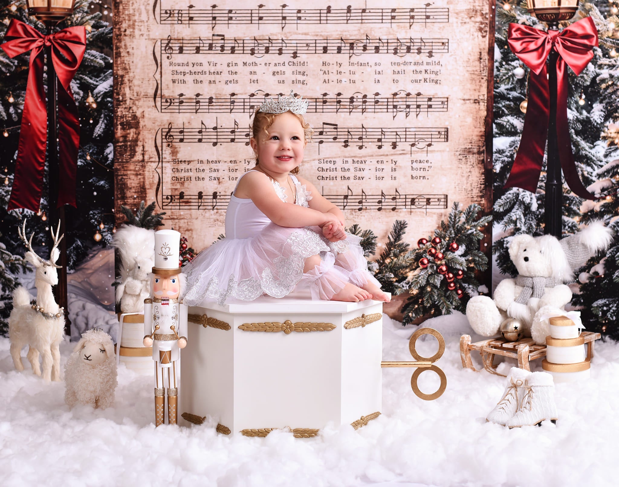 Toile de fond Noël Chant de Noël Neige Joy To The World MRR9-24