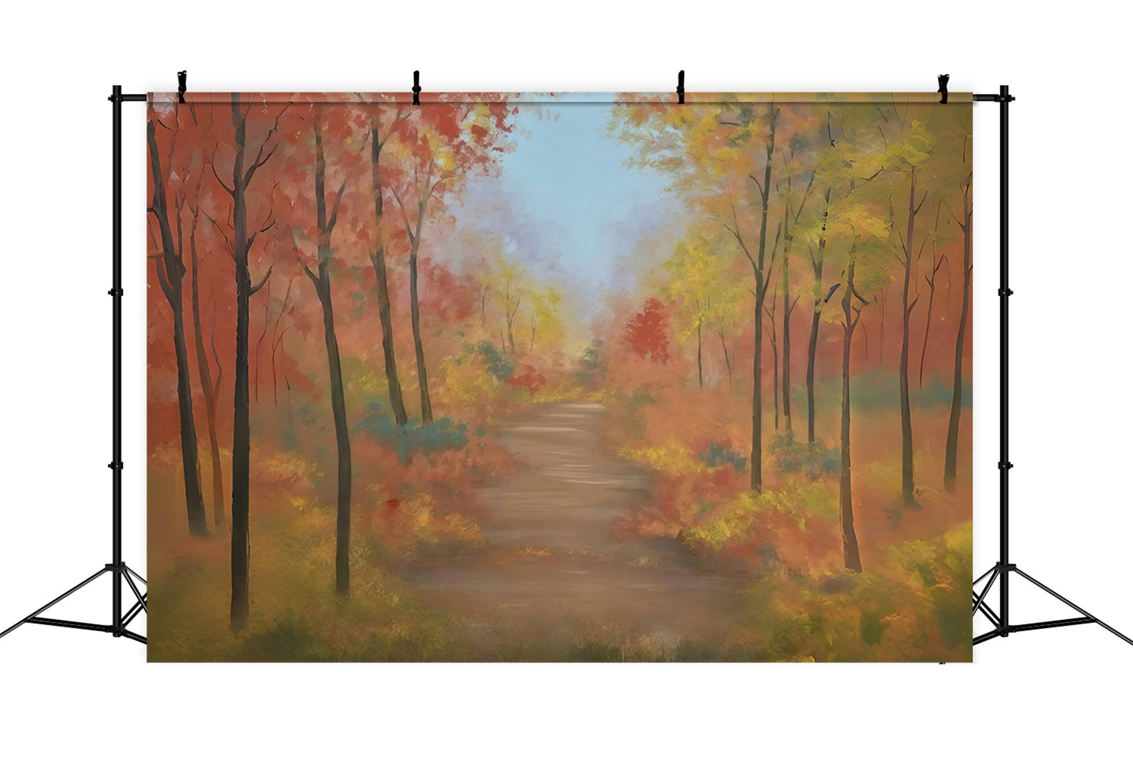 Toile de fond Automne Forêt Colorée Sentier d’Automne MRR9-30