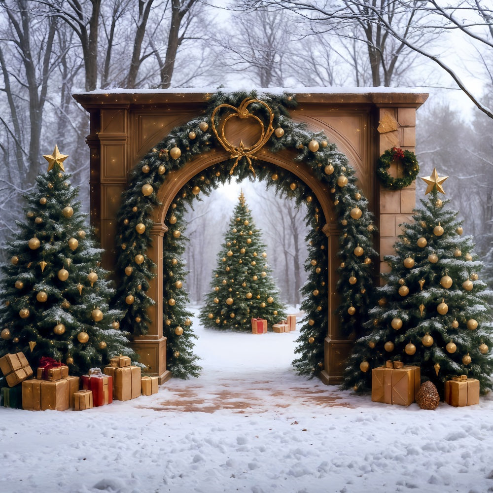 Toile de fond Arbre de Noël Forêt Enneigée Arche Porte Noël Photo MRR9-77