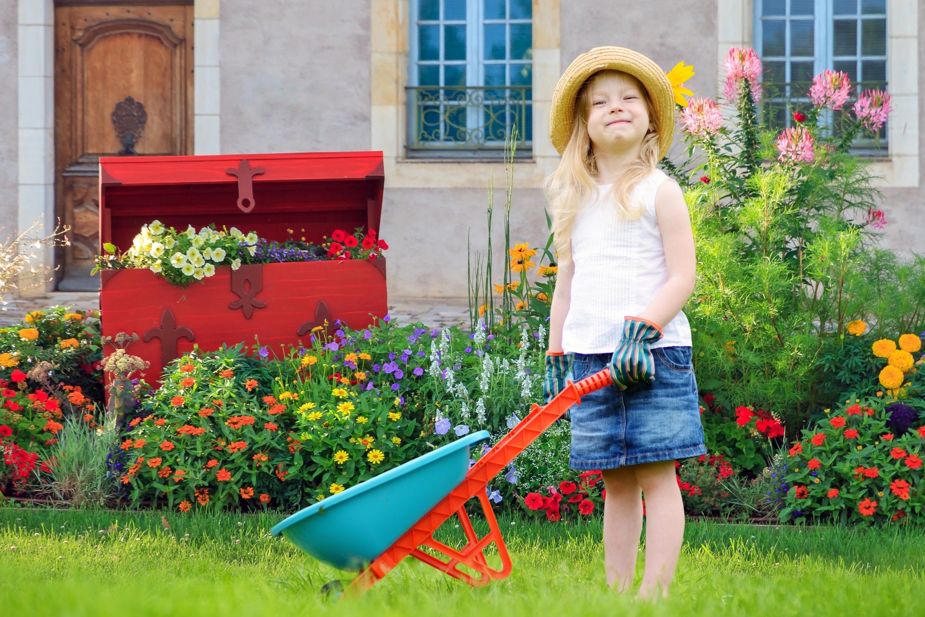 Toile de fond pour maison de ville au printemps Jardin Fleurs Pelouse Coffre en bois rouge RR3-17