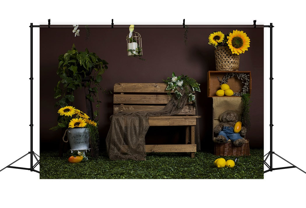 Toile de fond Tournesol d'été Banc Citron RR3-20
